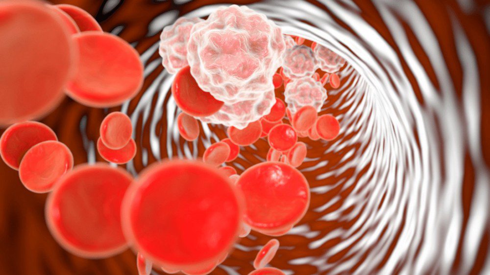 افزایش گردش خون