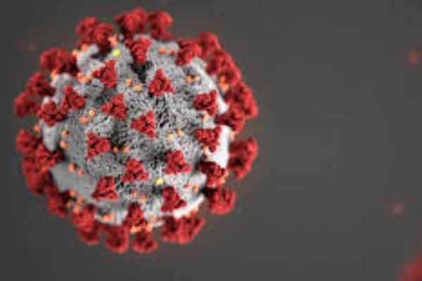 علائم ویروس جدید