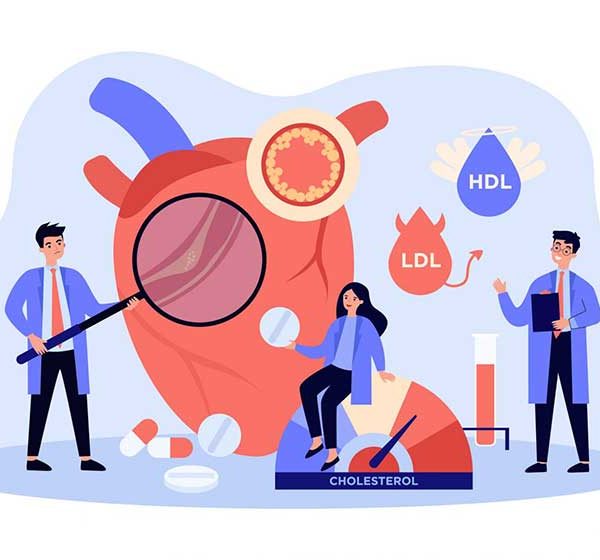 غذاهایی که باعث کاهش کلسترول می‌شوند