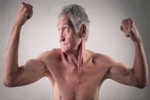 عضلات سالمندان