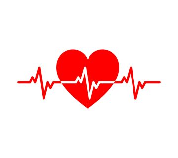 ضربان قلب نرمال در بزرگسالان