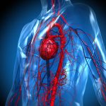 عوارض از دست دادن خون