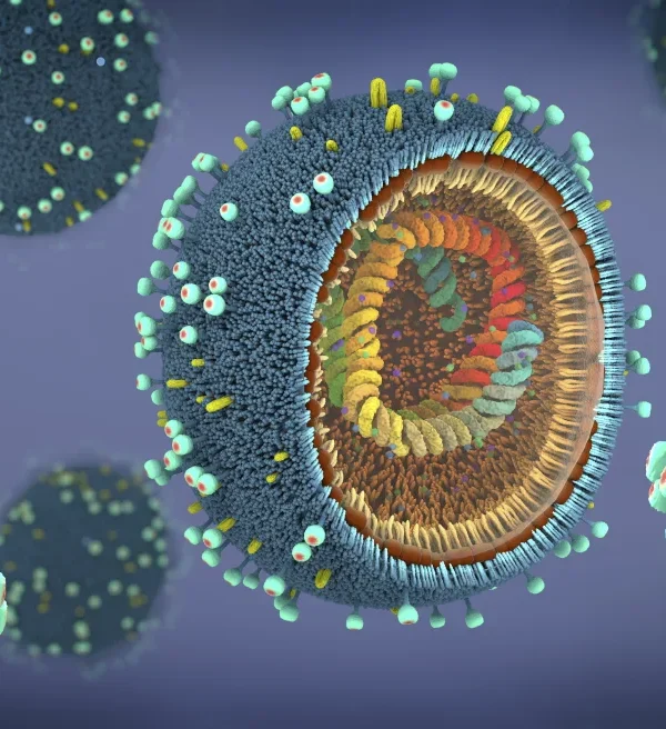 علائم آنفلوانزا چیست